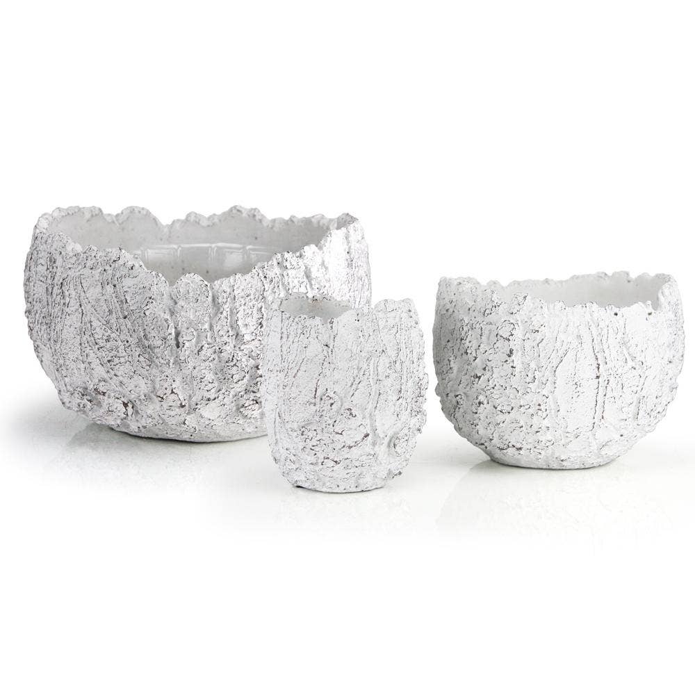 10.5" Top | Ceramic Fossil Planter - Image 3