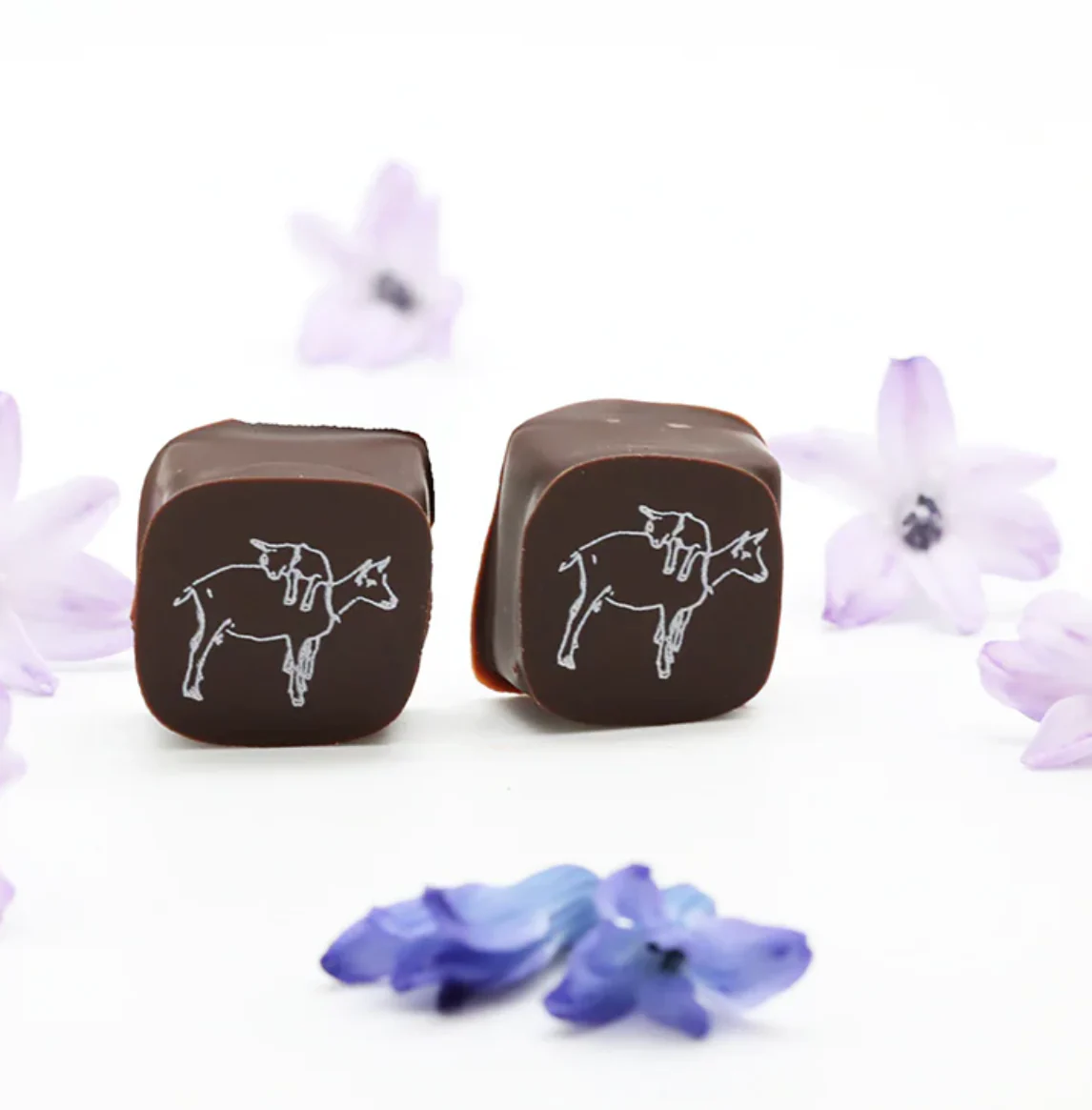 2 Piece Chocolate Covered Caramel Candy Gram - Image 2