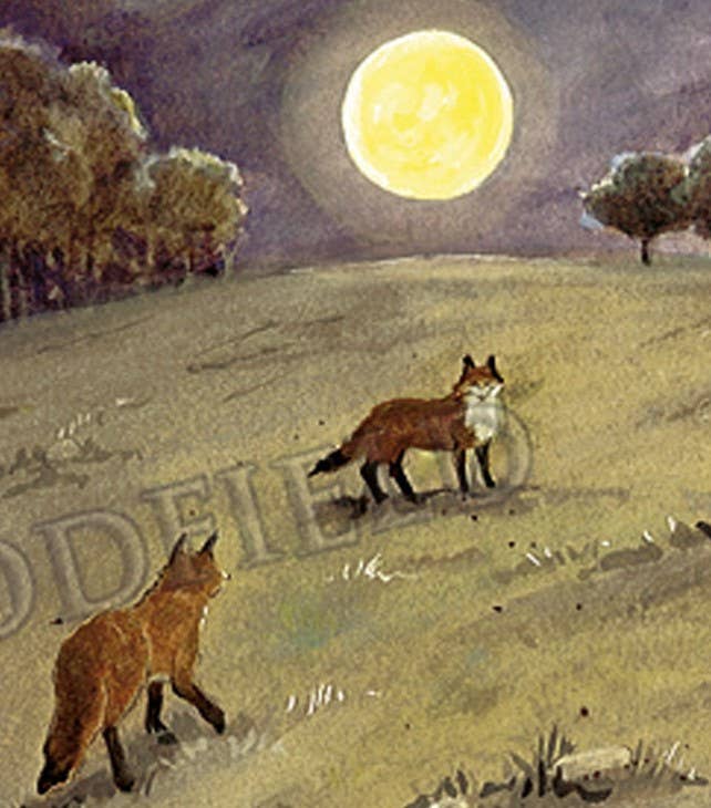 #307 - Foxes Moonlight Notecard - Image 3