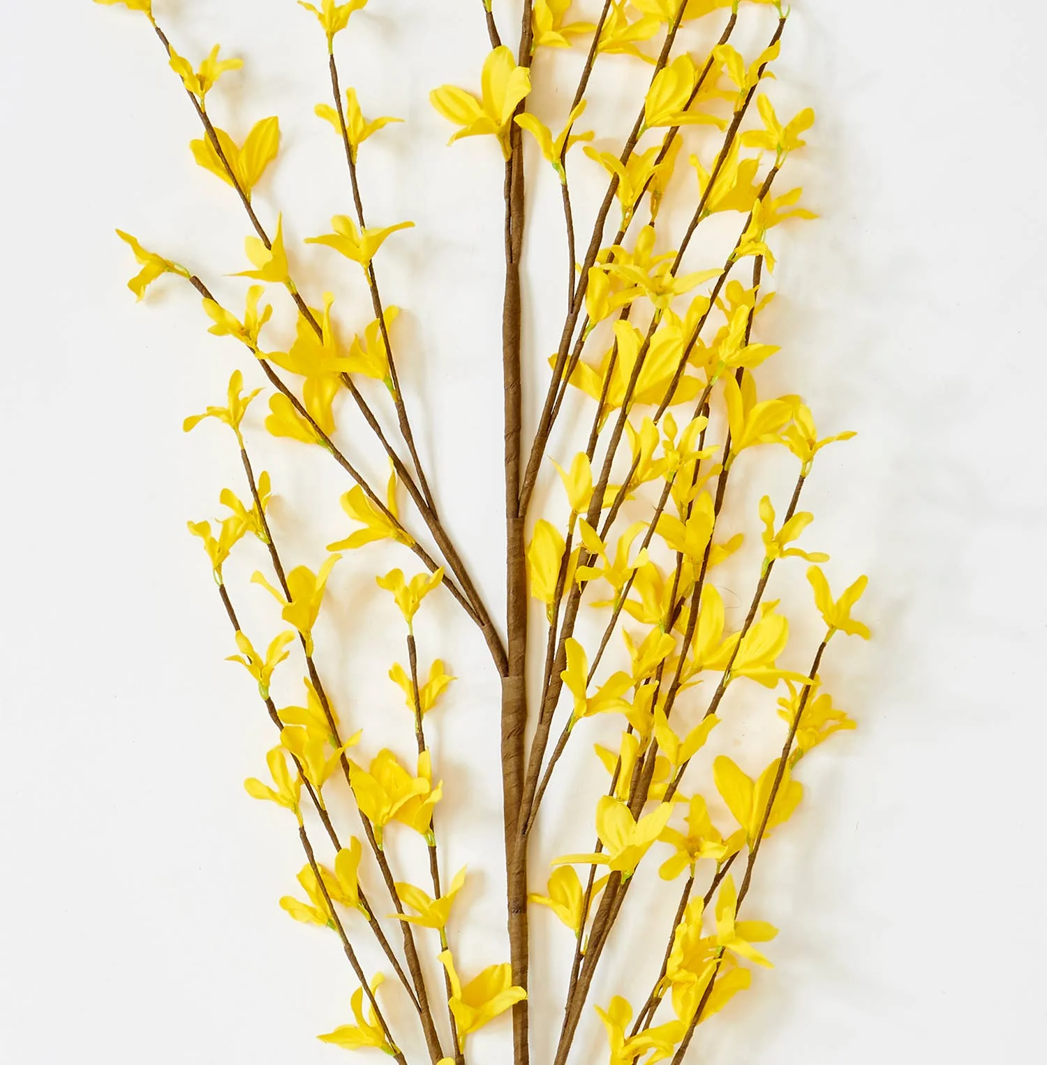 57" Forsythia Stem - Image 2