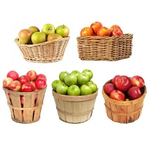 5n1 Apple | Malus domestica '5n1'