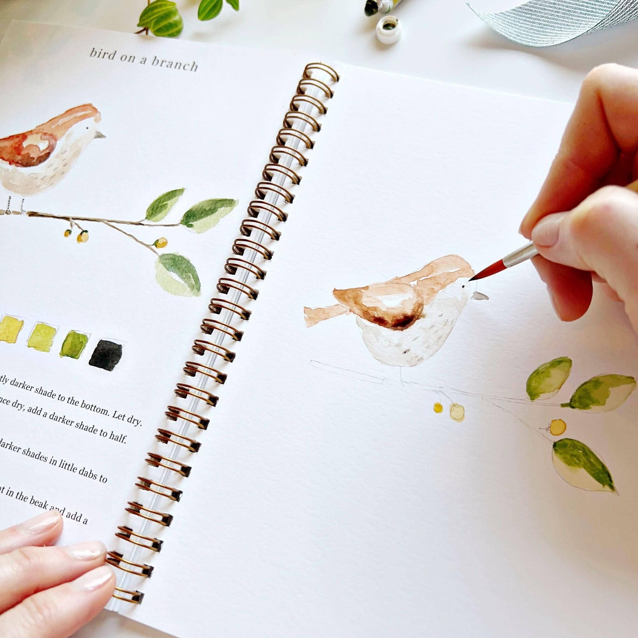 Animals watercolor workbook - Image 6