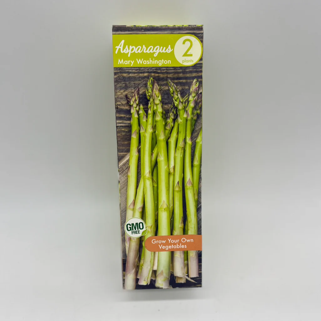 Asparagus - Mary Washington | 2 Bulbs