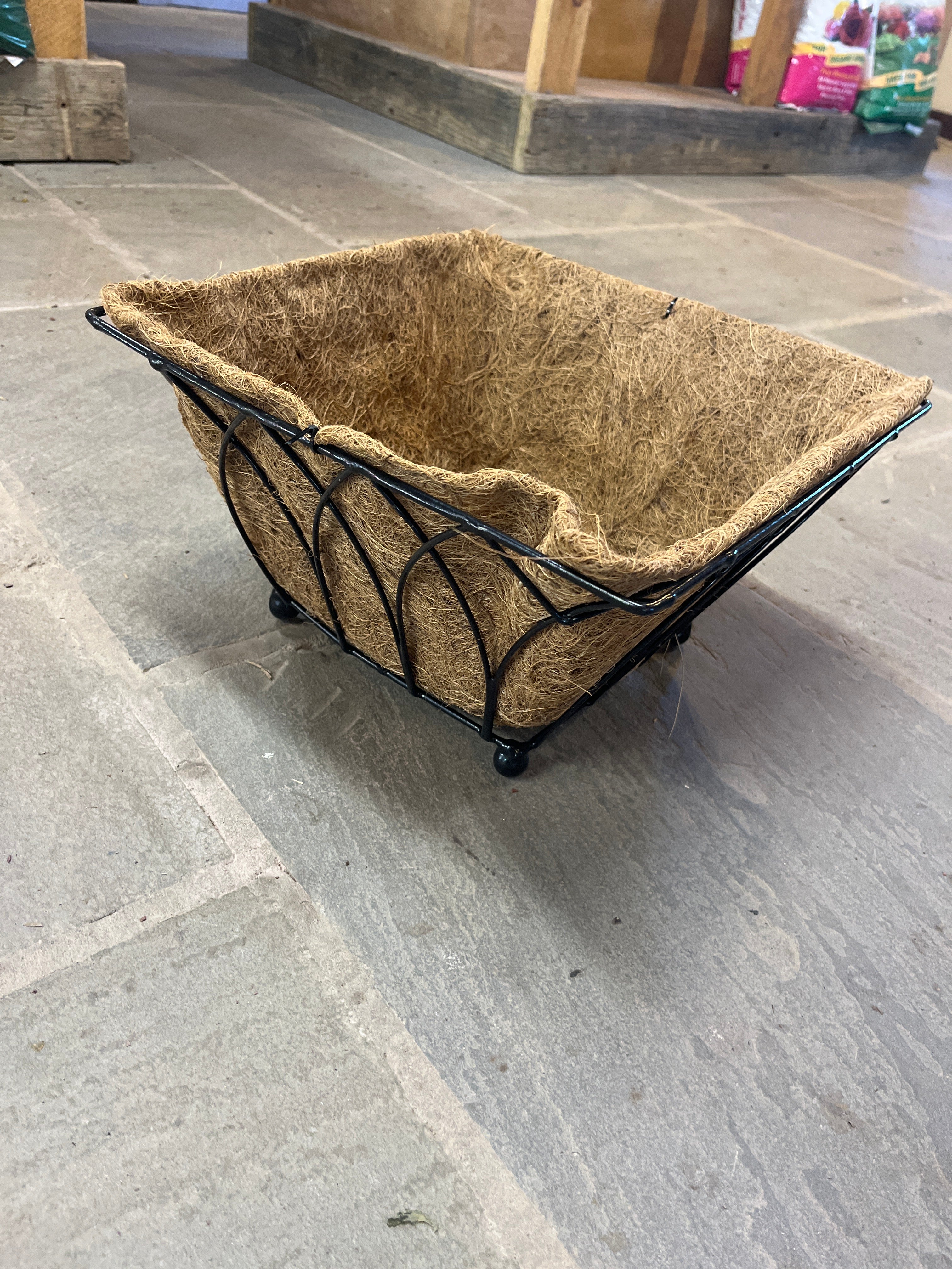 Austram Lotus Floor Planter - Black - Image 2