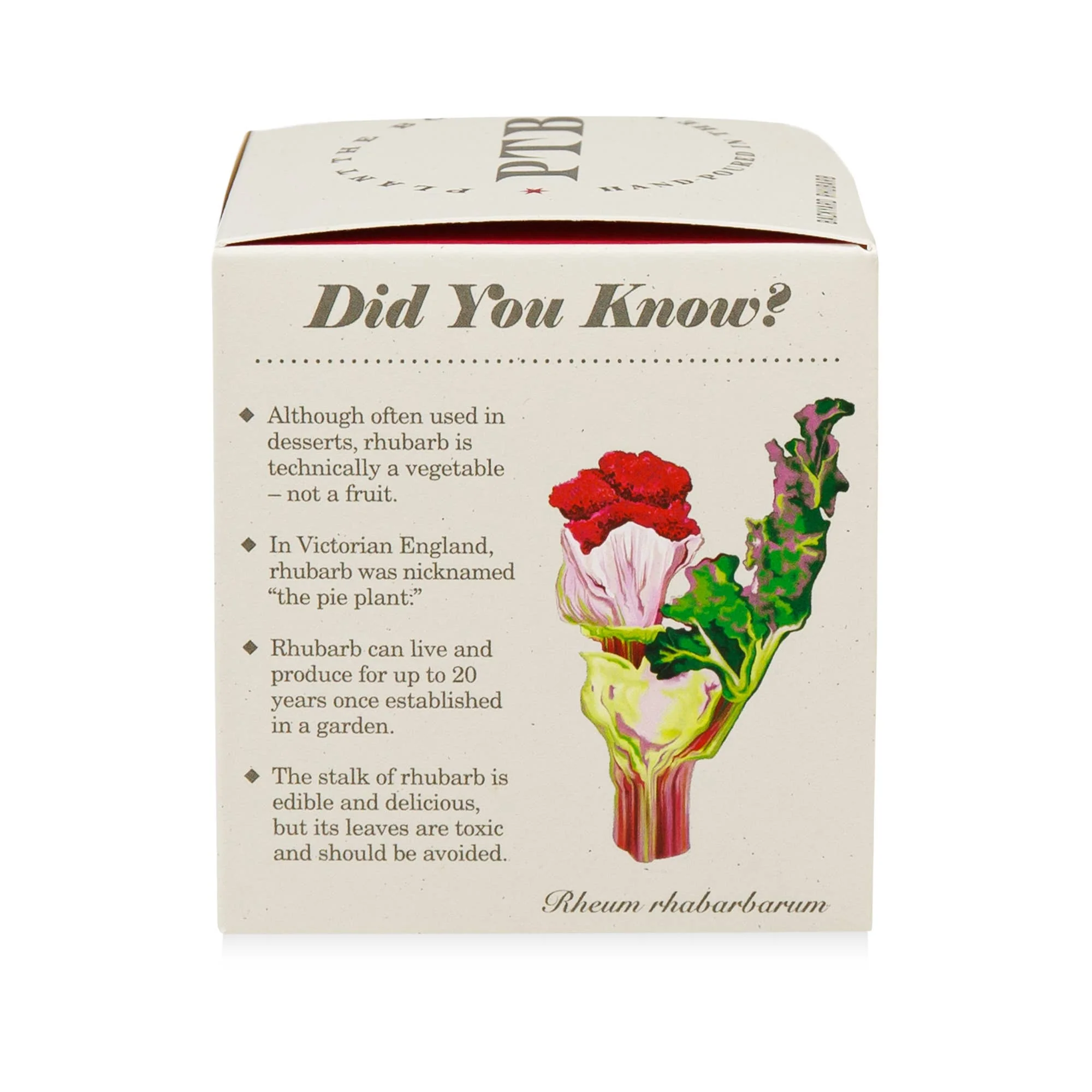 Backyard Rhubarb - Plant the Box Candle - 9oz. - Image 10