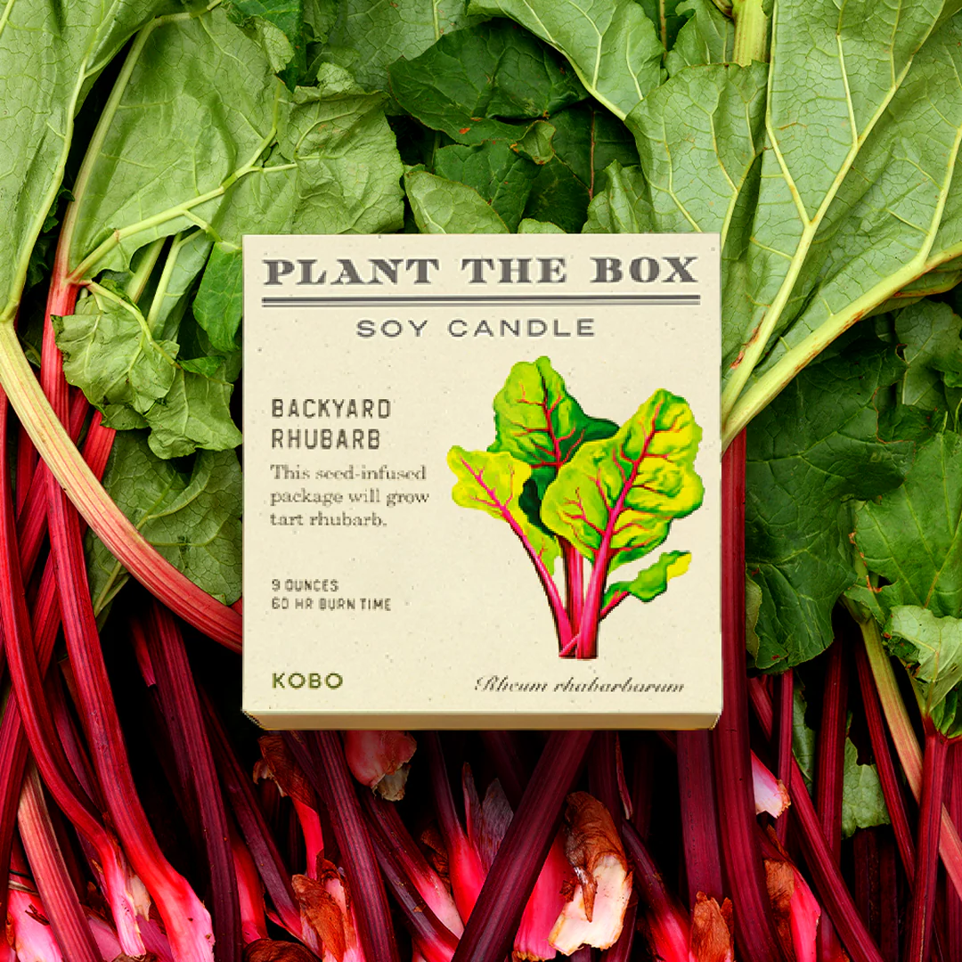 Backyard Rhubarb - Plant the Box Candle - 9oz. - Image 6