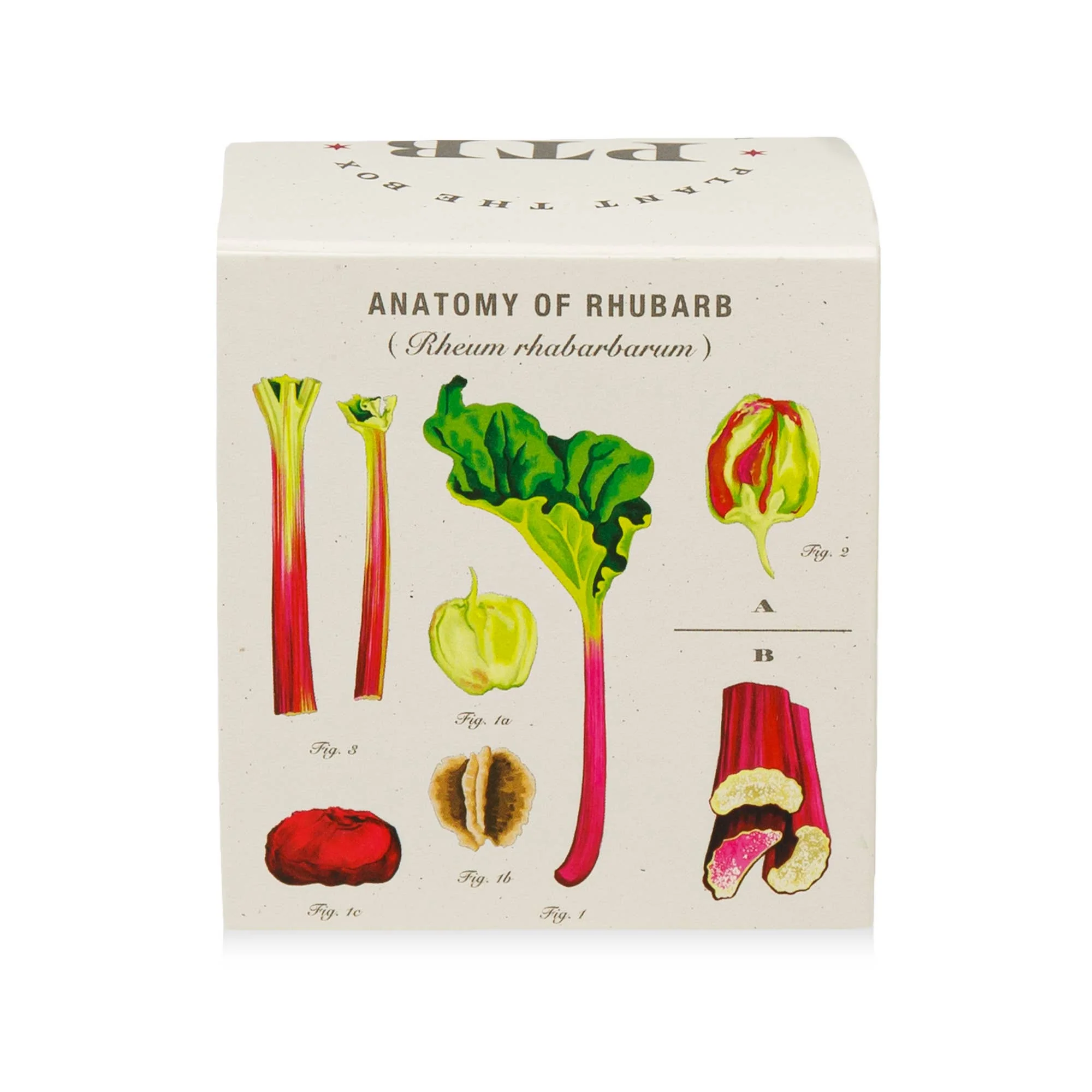 Backyard Rhubarb - Plant the Box Candle - 9oz. - Image 8