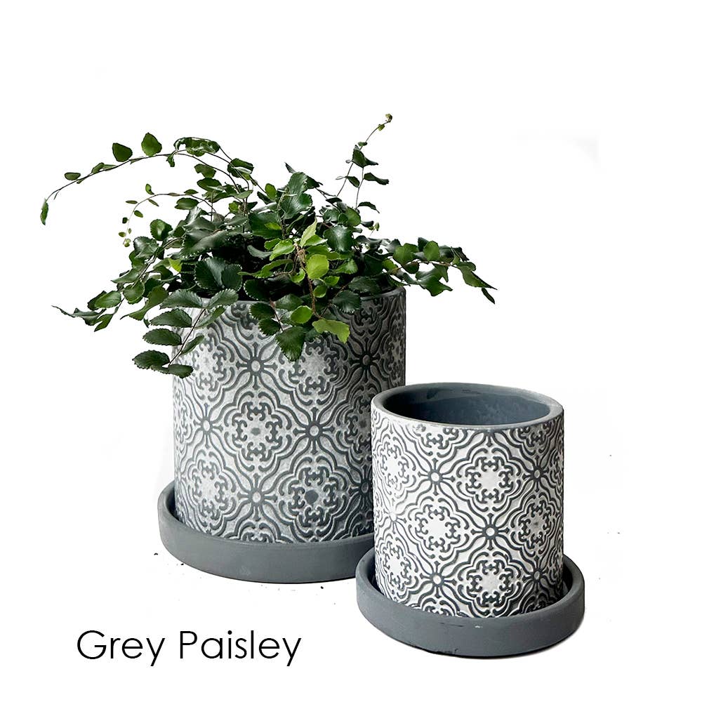 Balter Succulent Containers Cactus Pot And Saucer - Image 10