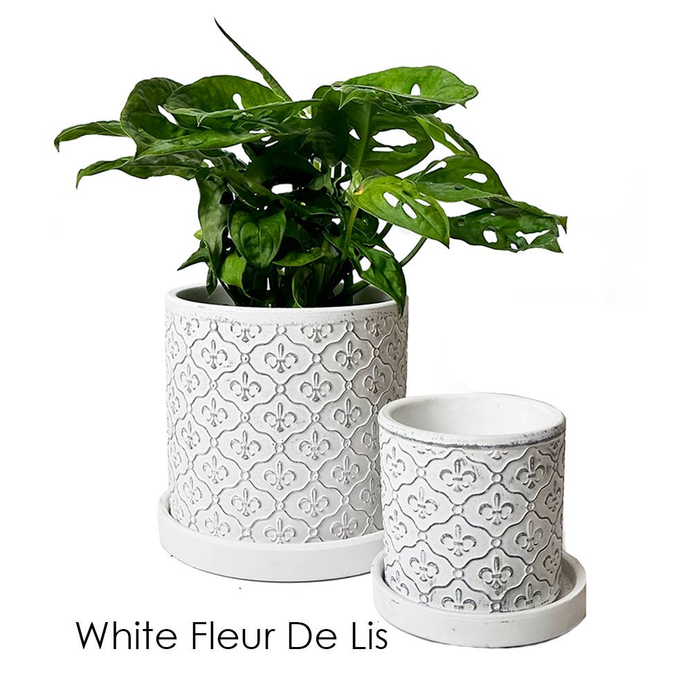 Balter Succulent Containers Cactus Pot And Saucer - Image 11