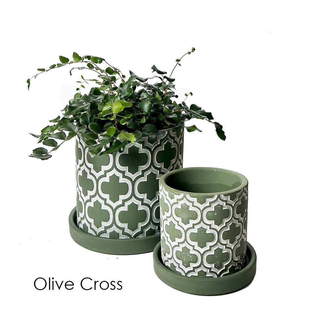 Balter Succulent Containers Cactus Pot And Saucer - Image 12