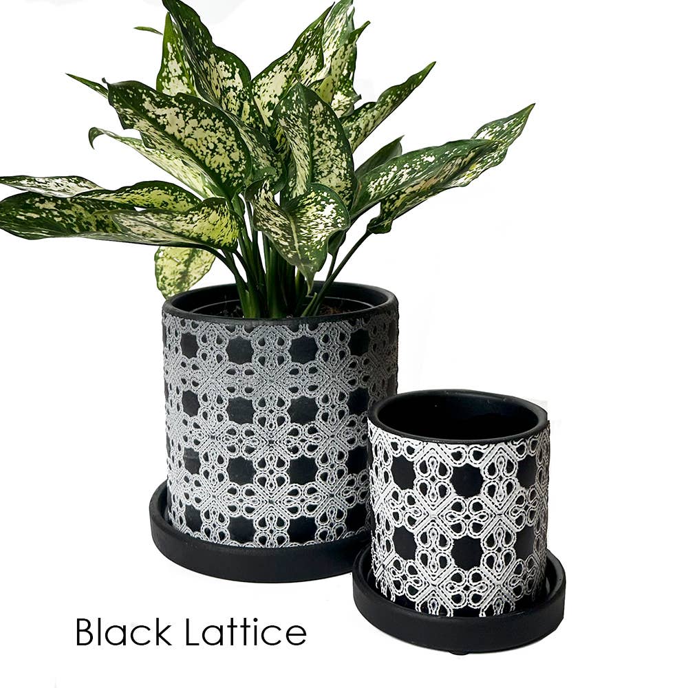 Balter Succulent Containers Cactus Pot And Saucer - Image 14