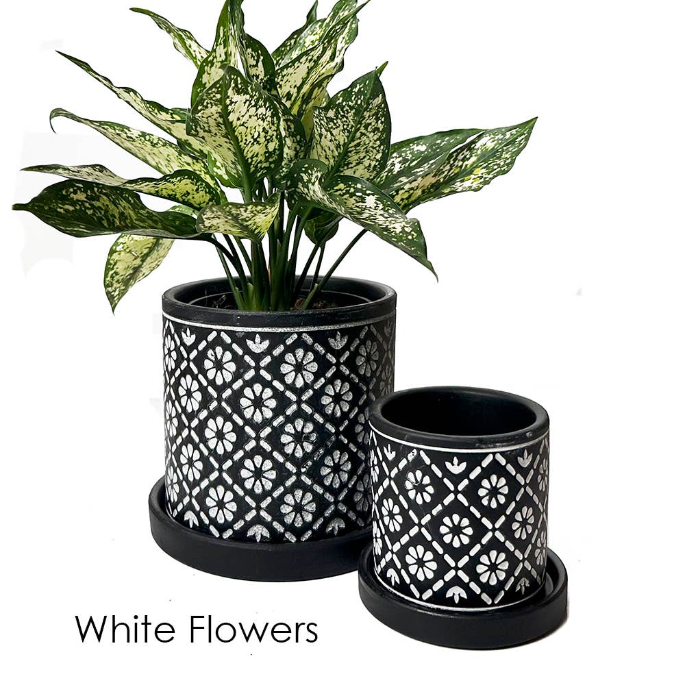 Balter Succulent Containers Cactus Pot And Saucer - Image 15