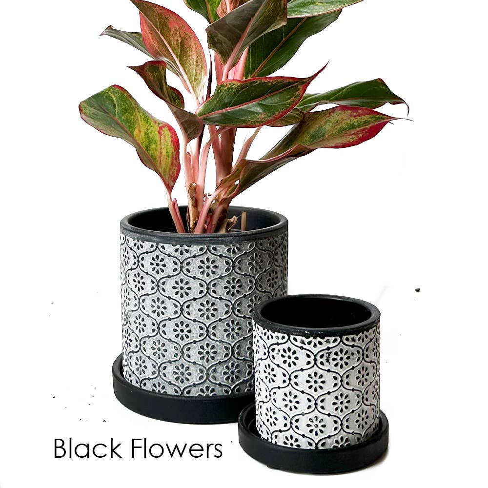 Balter Succulent Containers Cactus Pot And Saucer - Image 16