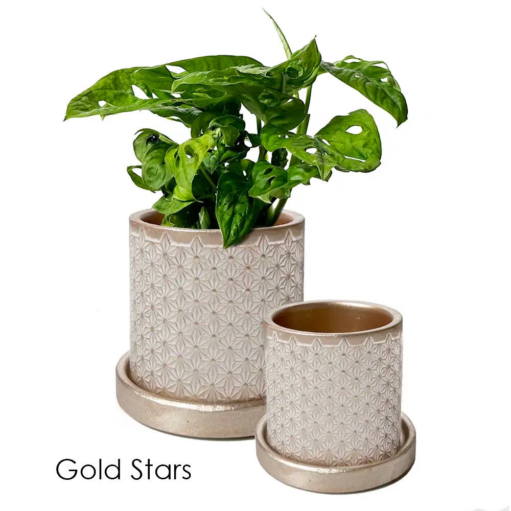 Balter Succulent Containers Cactus Pot And Saucer - Image 18