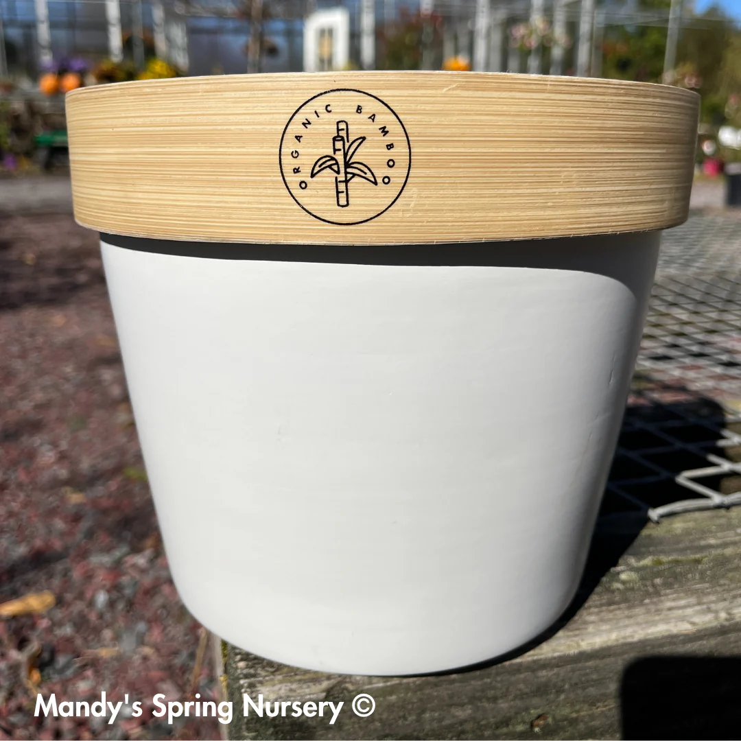 Bamboo Flower Pot - Image 2