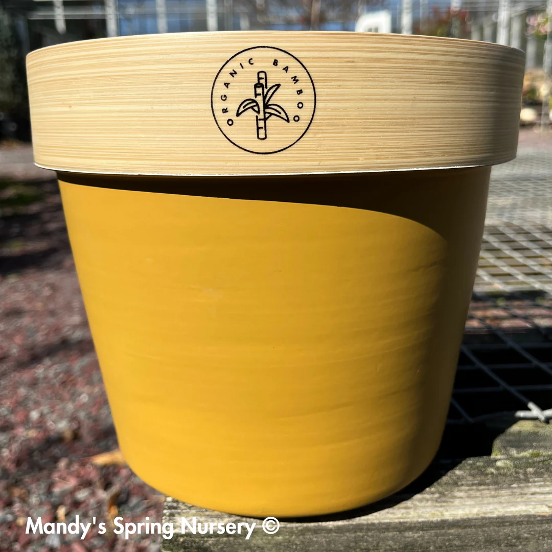 Bamboo Flower Pot - Image 3