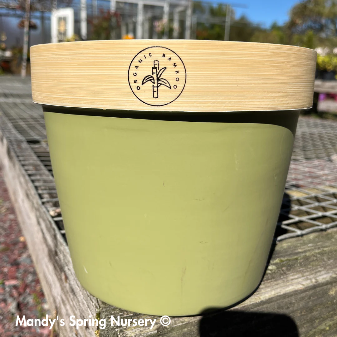 Bamboo Flower Pot - Image 4