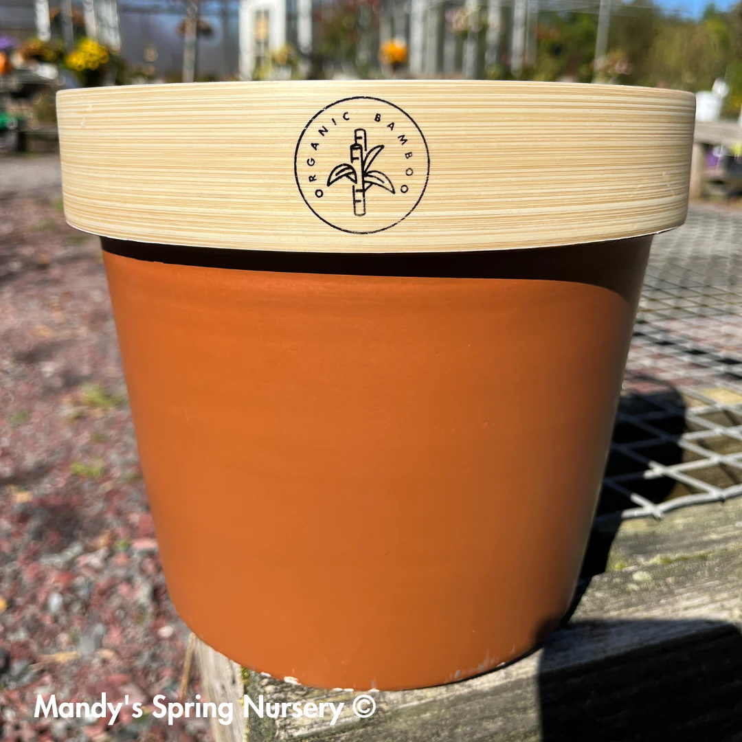 Bamboo Flower Pot - Image 5