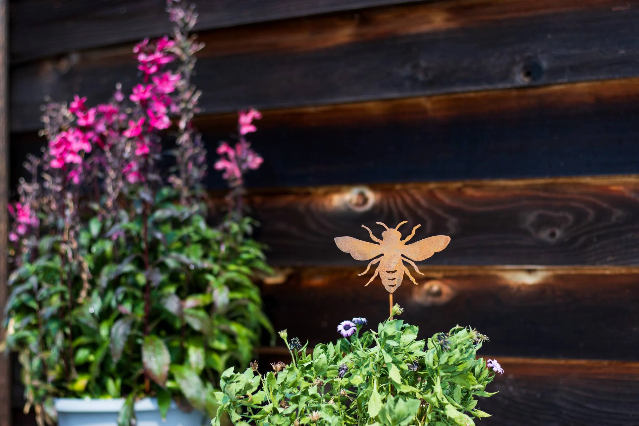 Bee Pick - Image 3