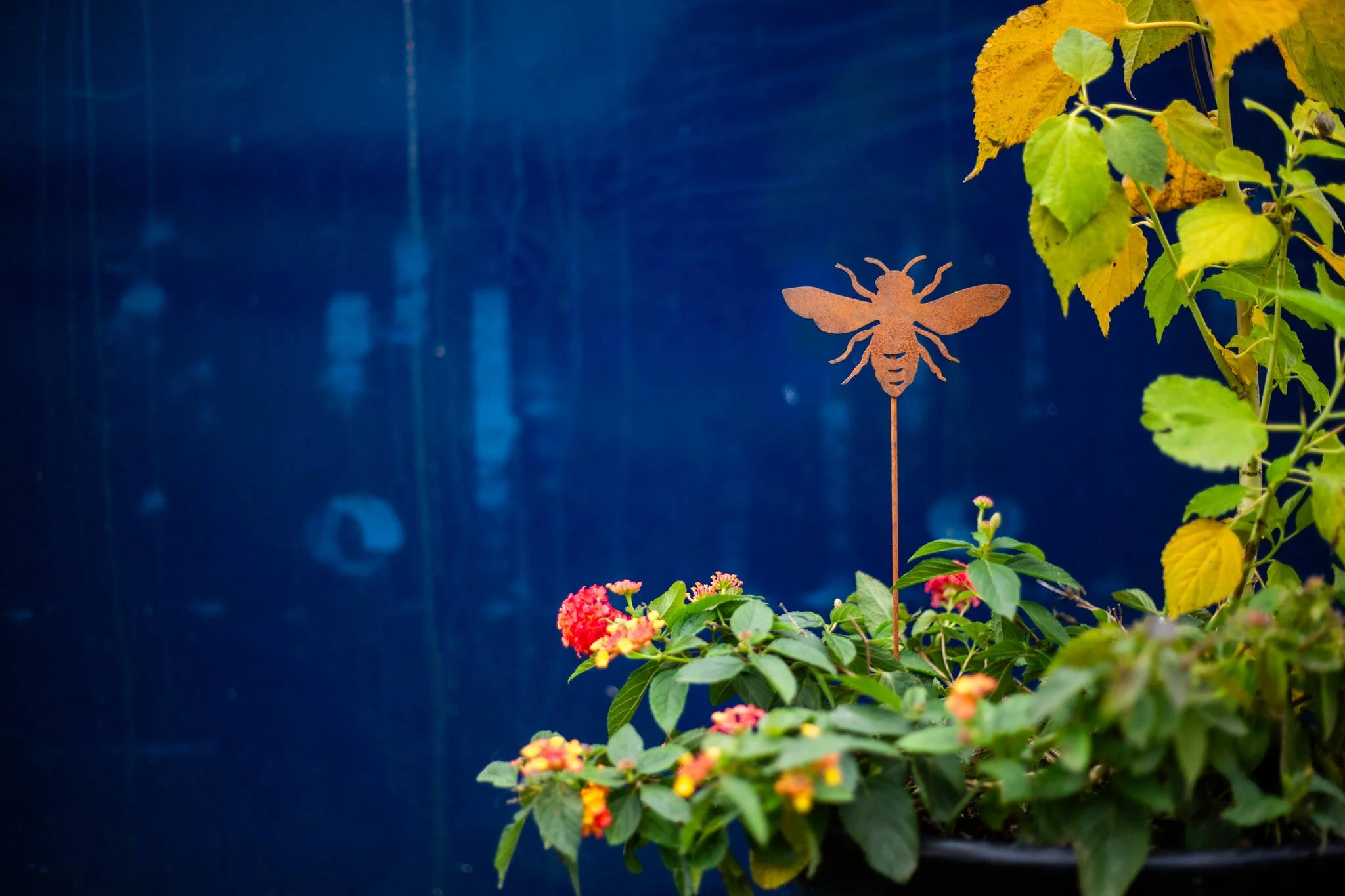 Bee Pick - Image 4