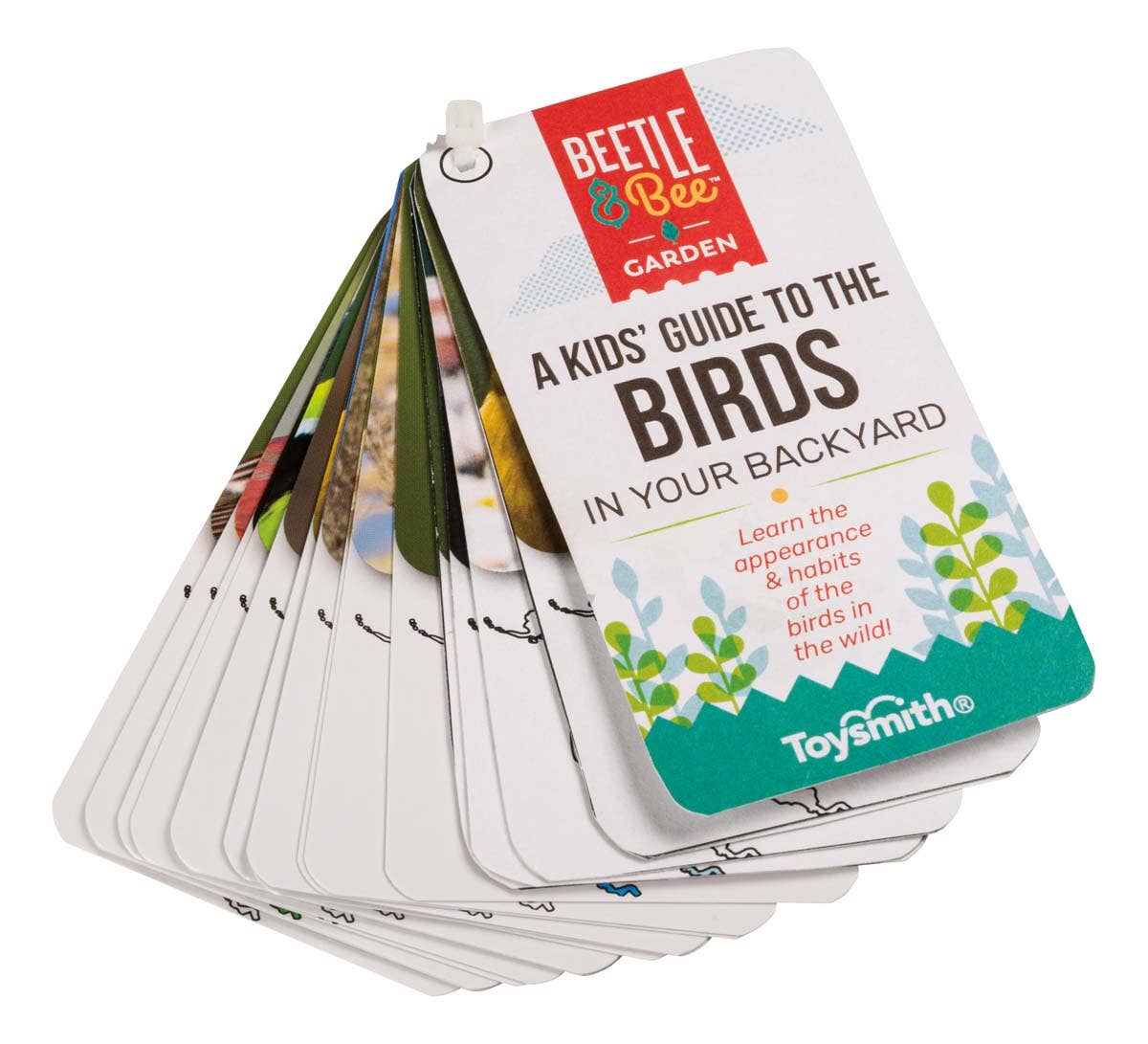 Beetle & Bee Little Birder Set-Bird Watching for Kids - Image 3