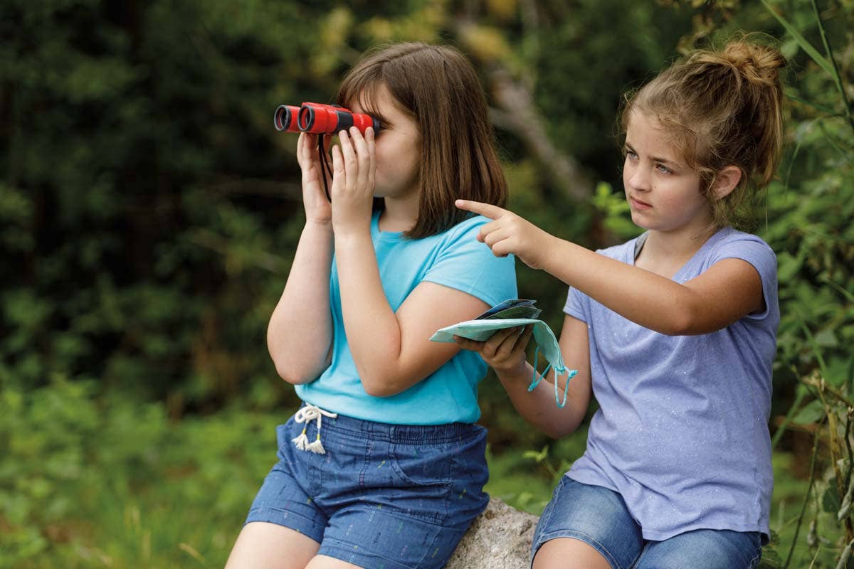 Beetle & Bee Little Birder Set-Bird Watching for Kids - Image 4