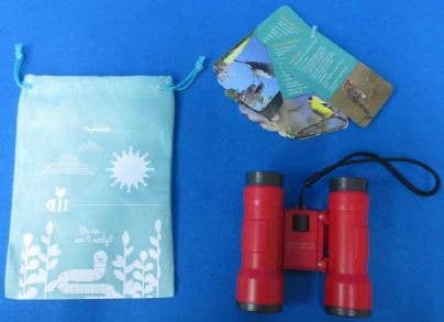 Beetle & Bee Little Birder Set-Bird Watching for Kids - Image 7