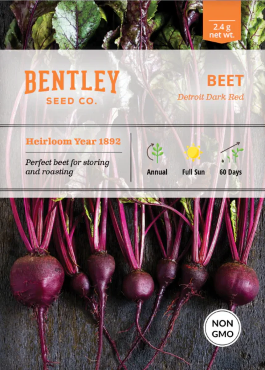 Beets 'Detroit' - Vegetable Seeds - Image 2