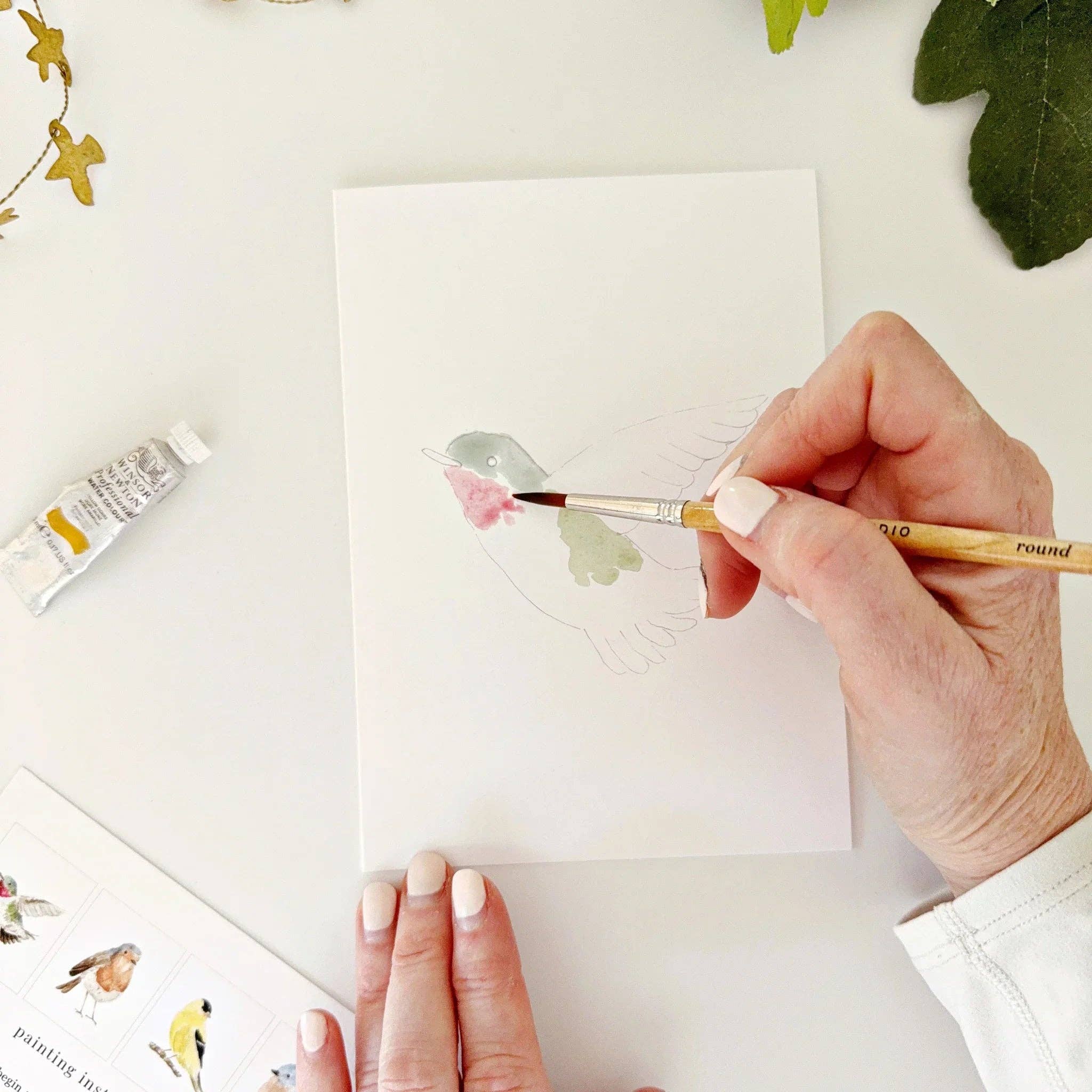 Birds paintable watercolor notecard set - Image 6