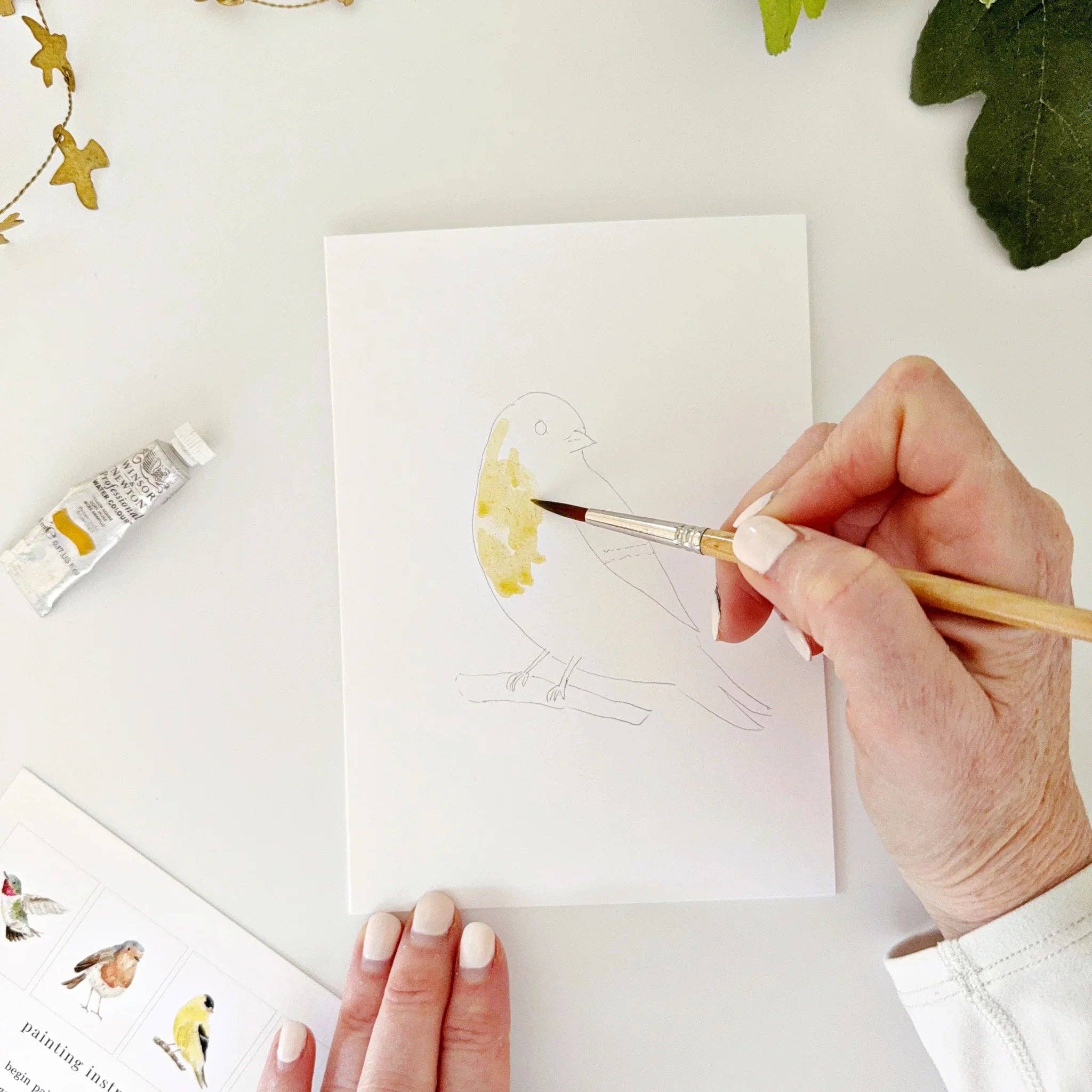 Birds paintable watercolor notecard set - Image 8