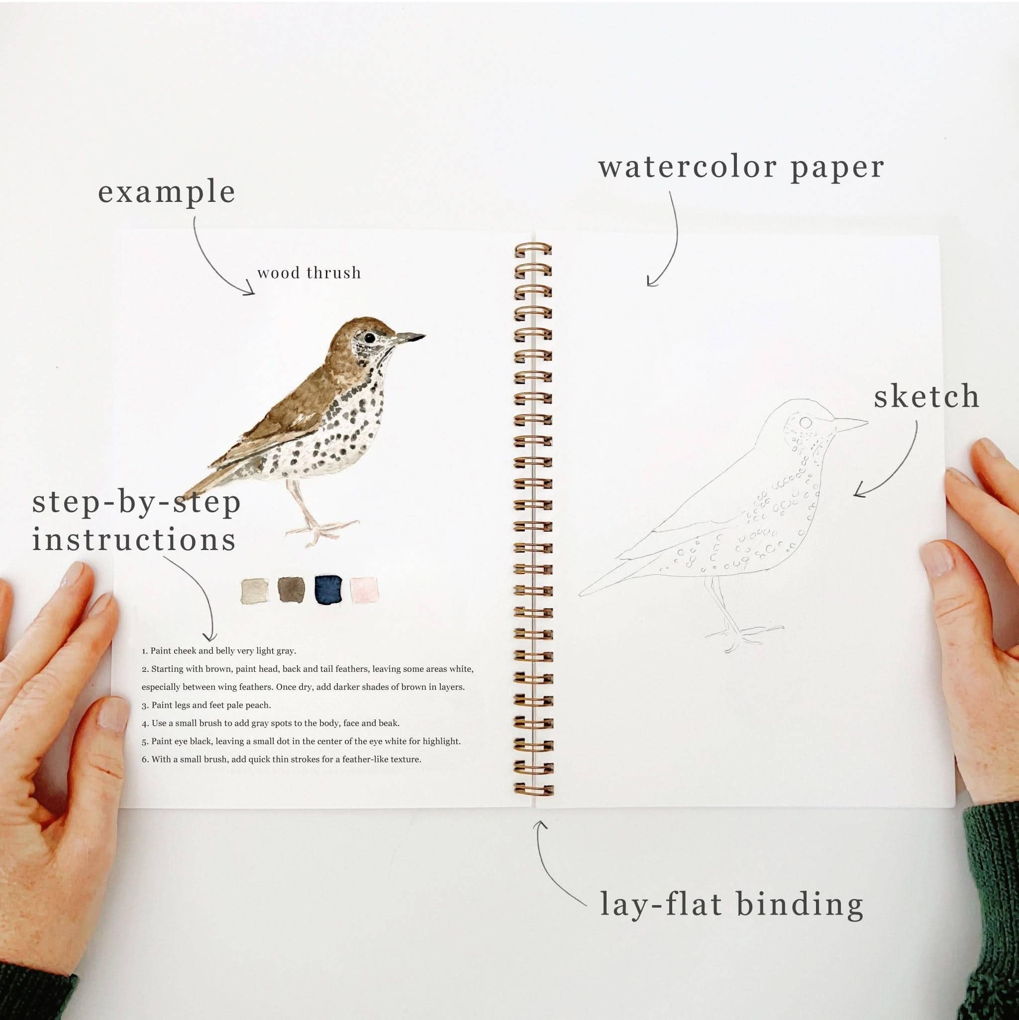 Birds watercolor workbook - Image 3