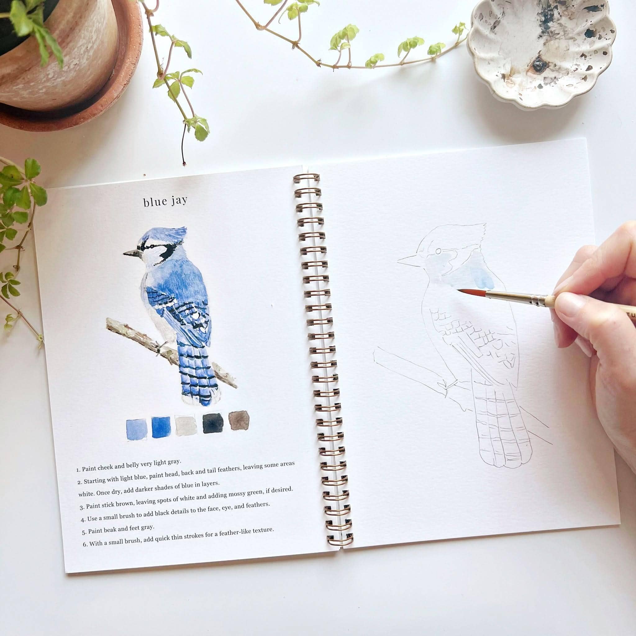Birds watercolor workbook - Image 4