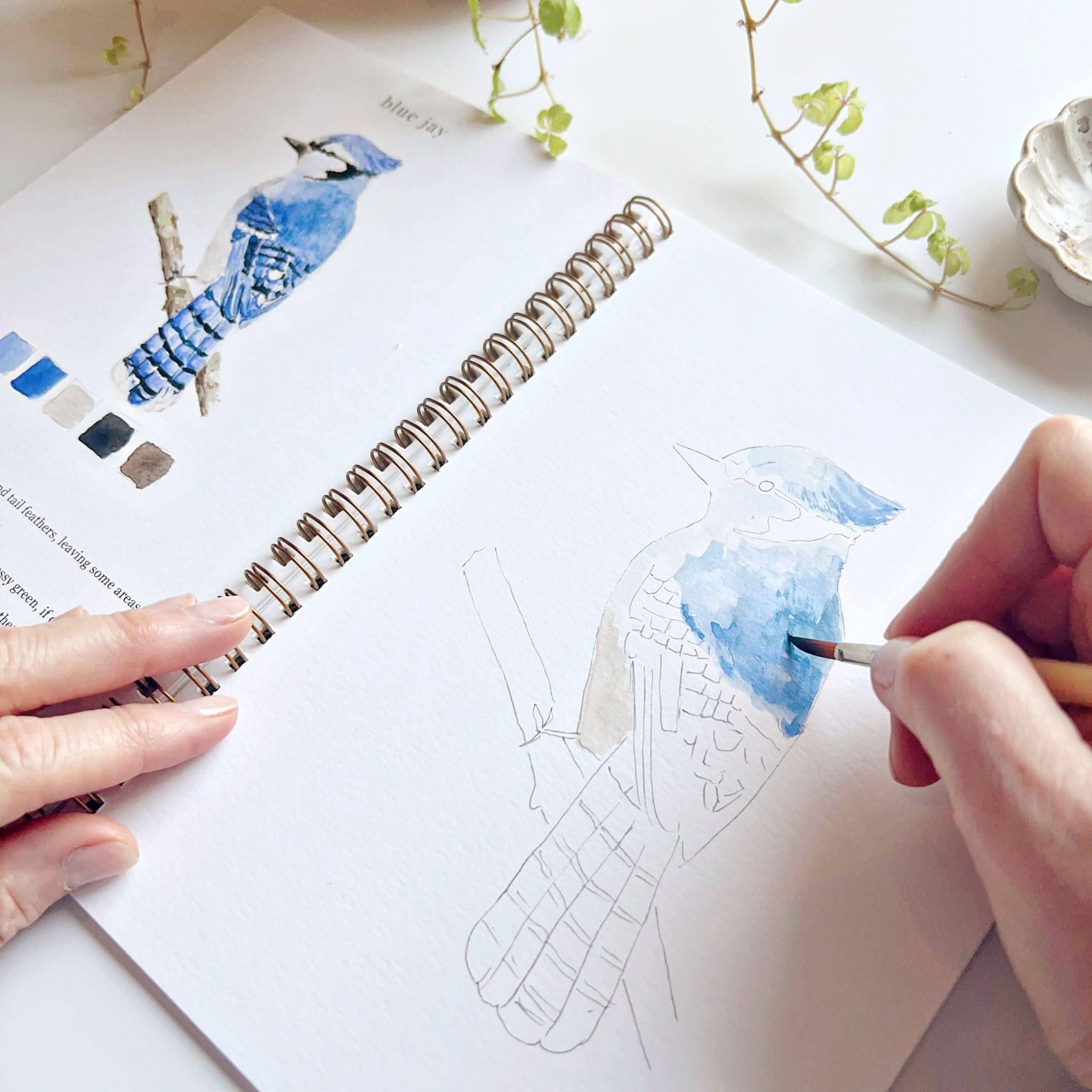 Birds watercolor workbook - Image 5