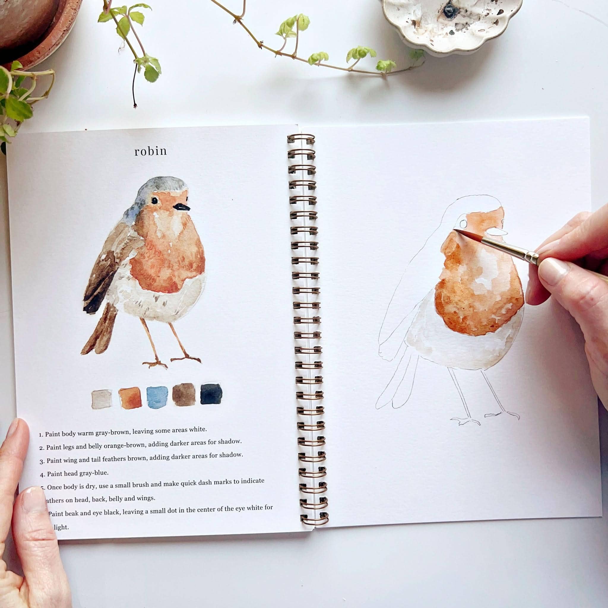 Birds watercolor workbook - Image 7