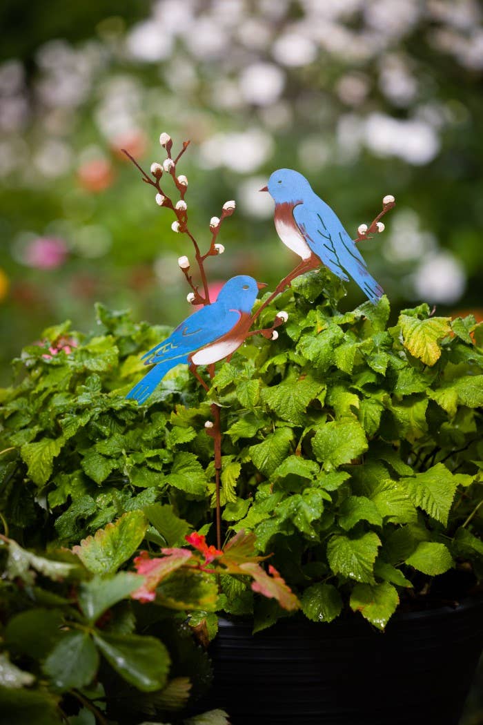 Bluebirds on Pussy Willow Pick -Painted - Image 9