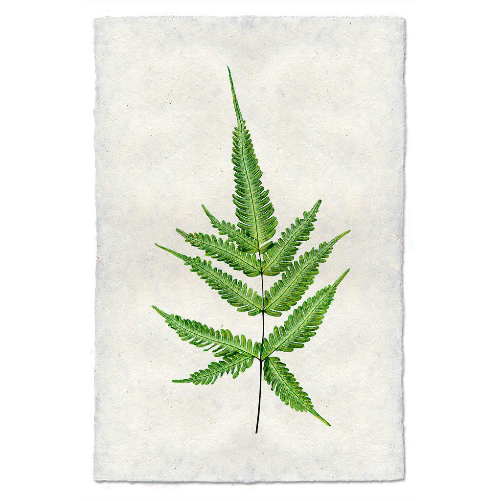 Botanical Framed Prints - Barloga Studios - Image 2