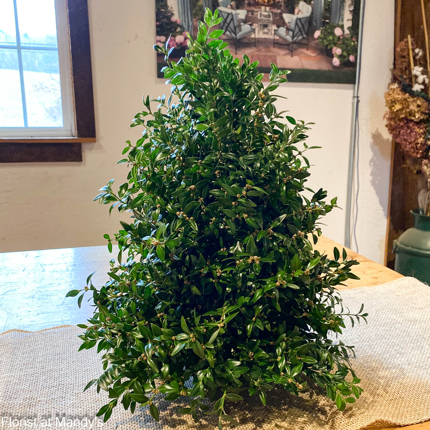 Boxwood Tabletop Tree (PRE-ORDER) - Image 2