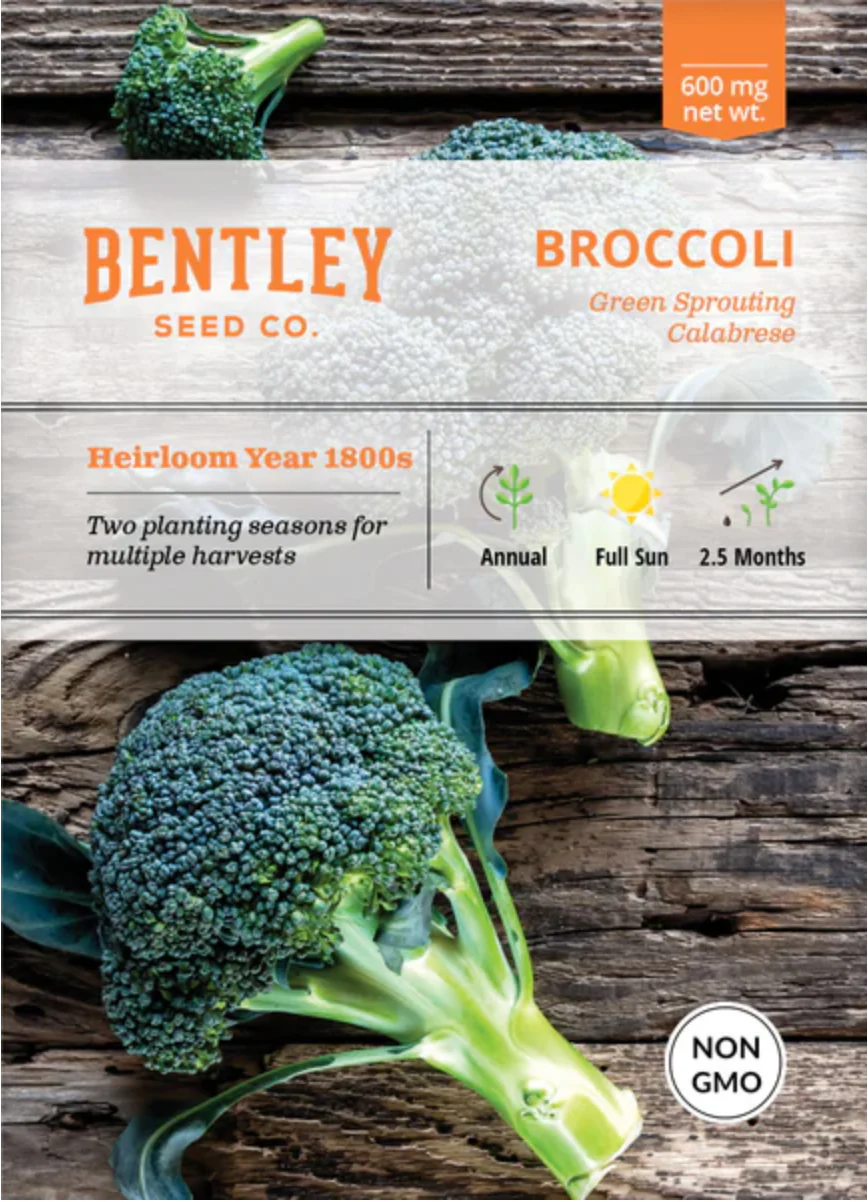 Broccoli 'Green Sprouting' - Vegetable Seeds - Image 2