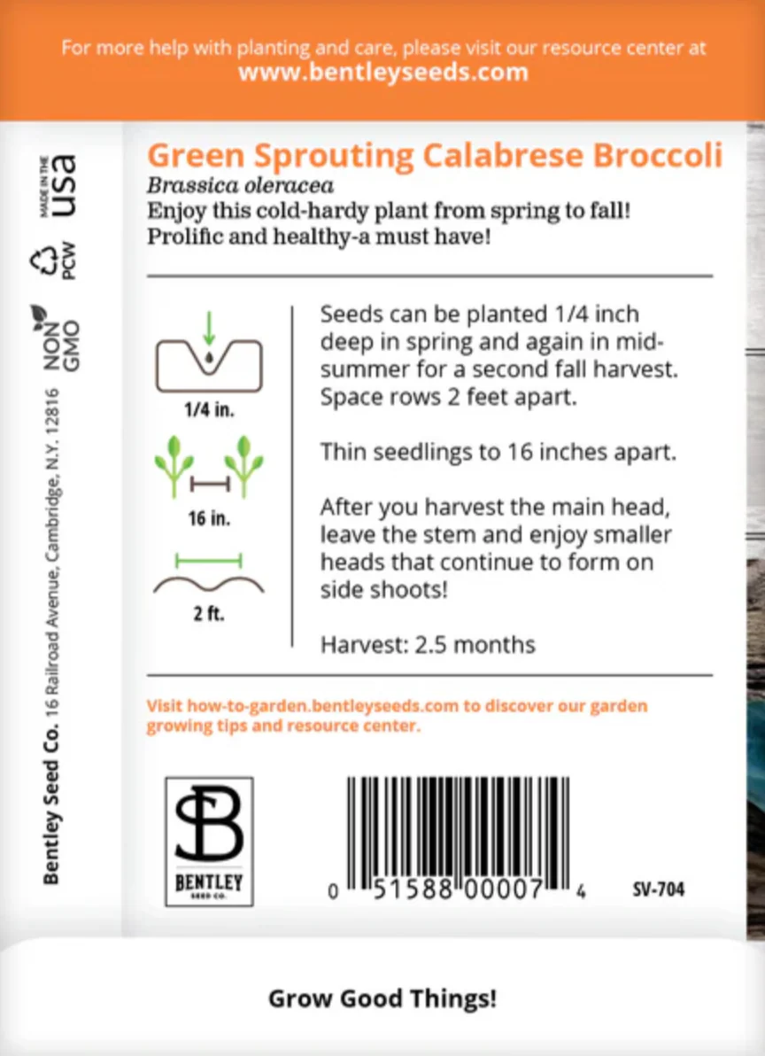 Broccoli 'Green Sprouting' - Vegetable Seeds - Image 3