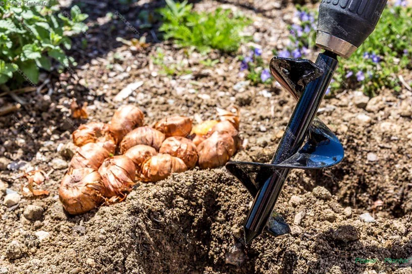 Bulb Planting Auger & Bedding Plant Tool (3" x 7") - Image 10