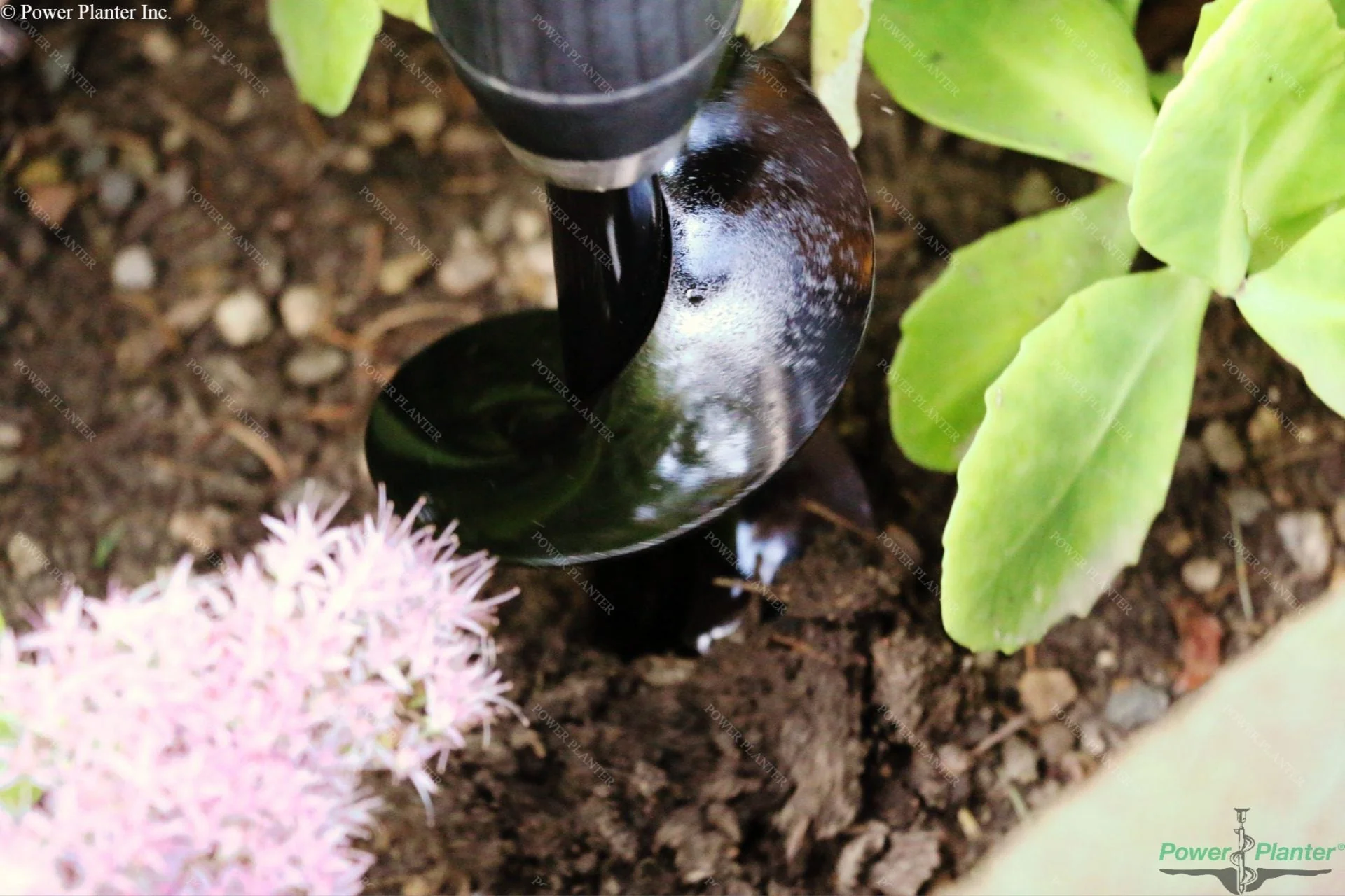 Bulb Planting Auger & Bedding Plant Tool (3" x 7") - Image 6