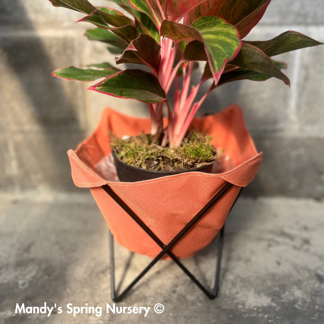 Butterfly Sling Planter - Image 3