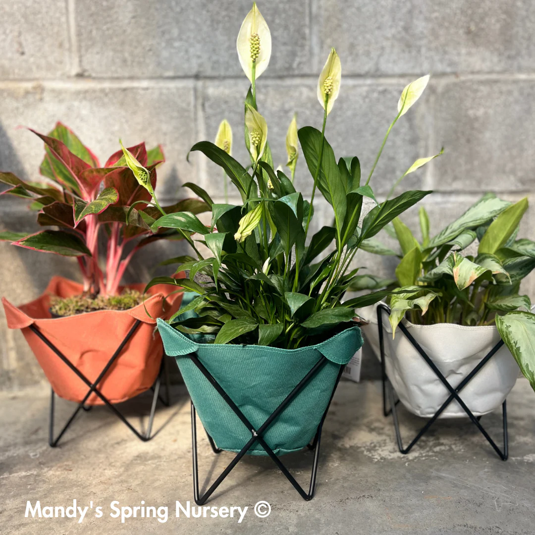 Butterfly Sling Planter - Image 4