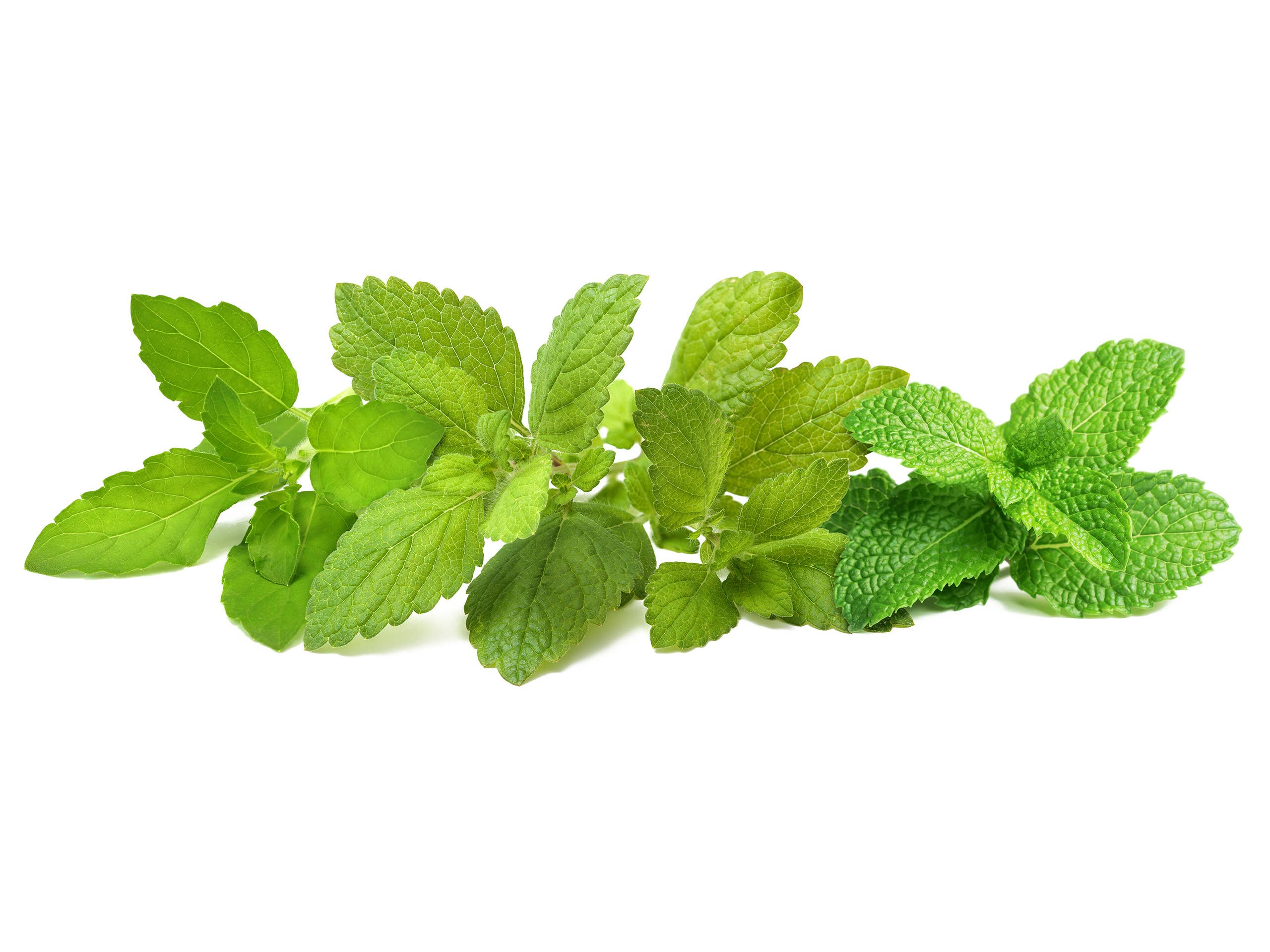 Calming Tea Mix - Image 2