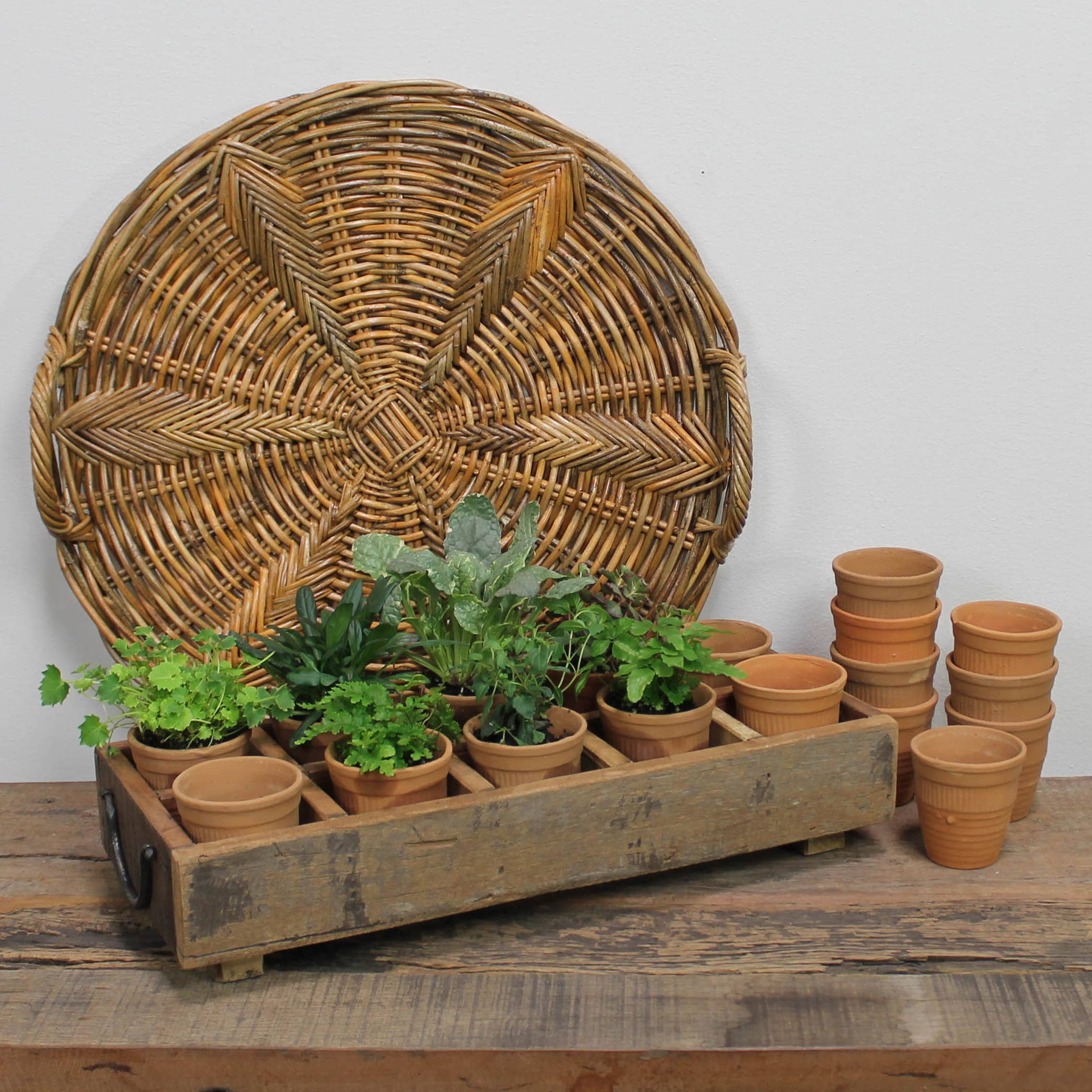 Campo Wood Caddy with 10 Clay Cups - Image 5