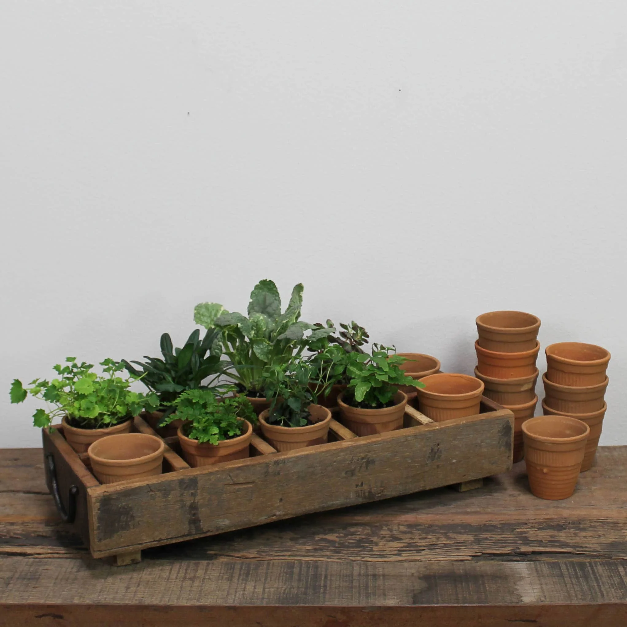 Campo Wood Caddy with 10 Clay Cups - Image 6