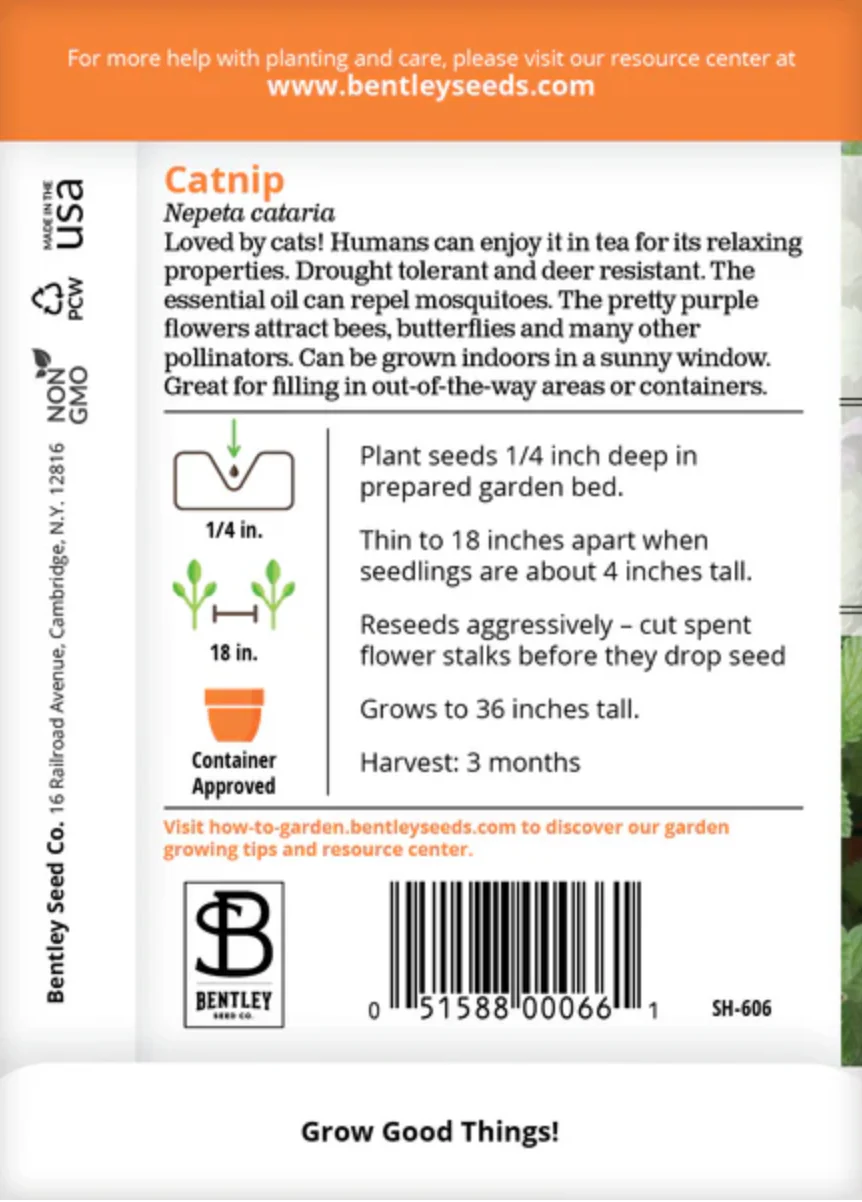 Catnip - Herb Seeds - Image 3