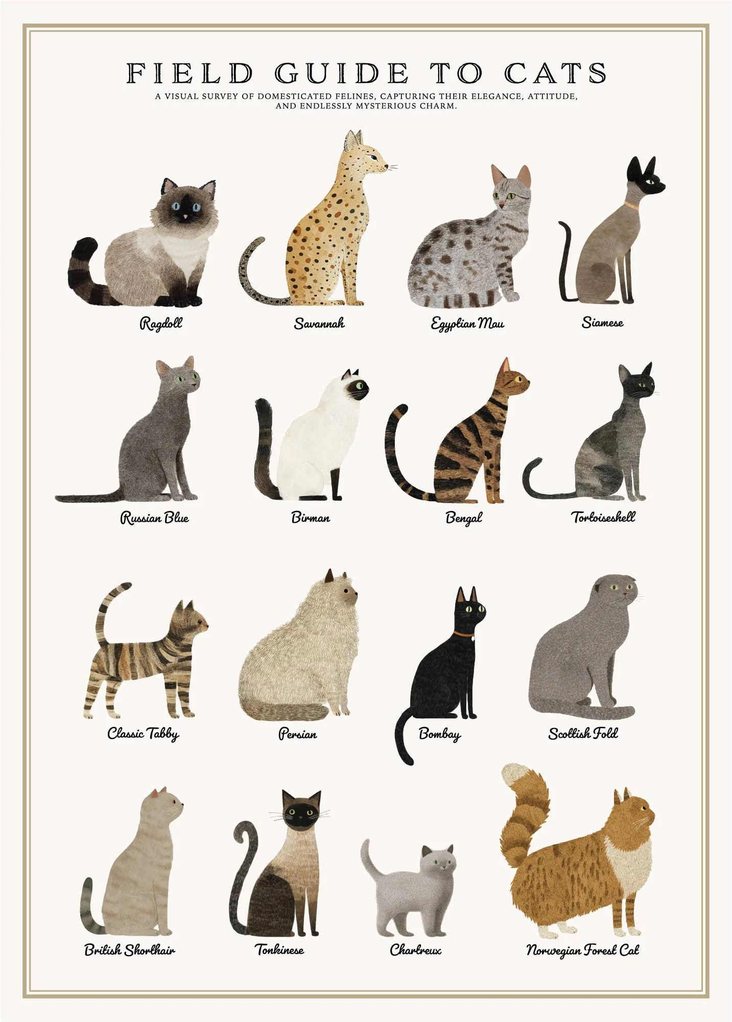 Cats Puzzle – 500 Pc Tube with Vintage Illustrations - Image 3
