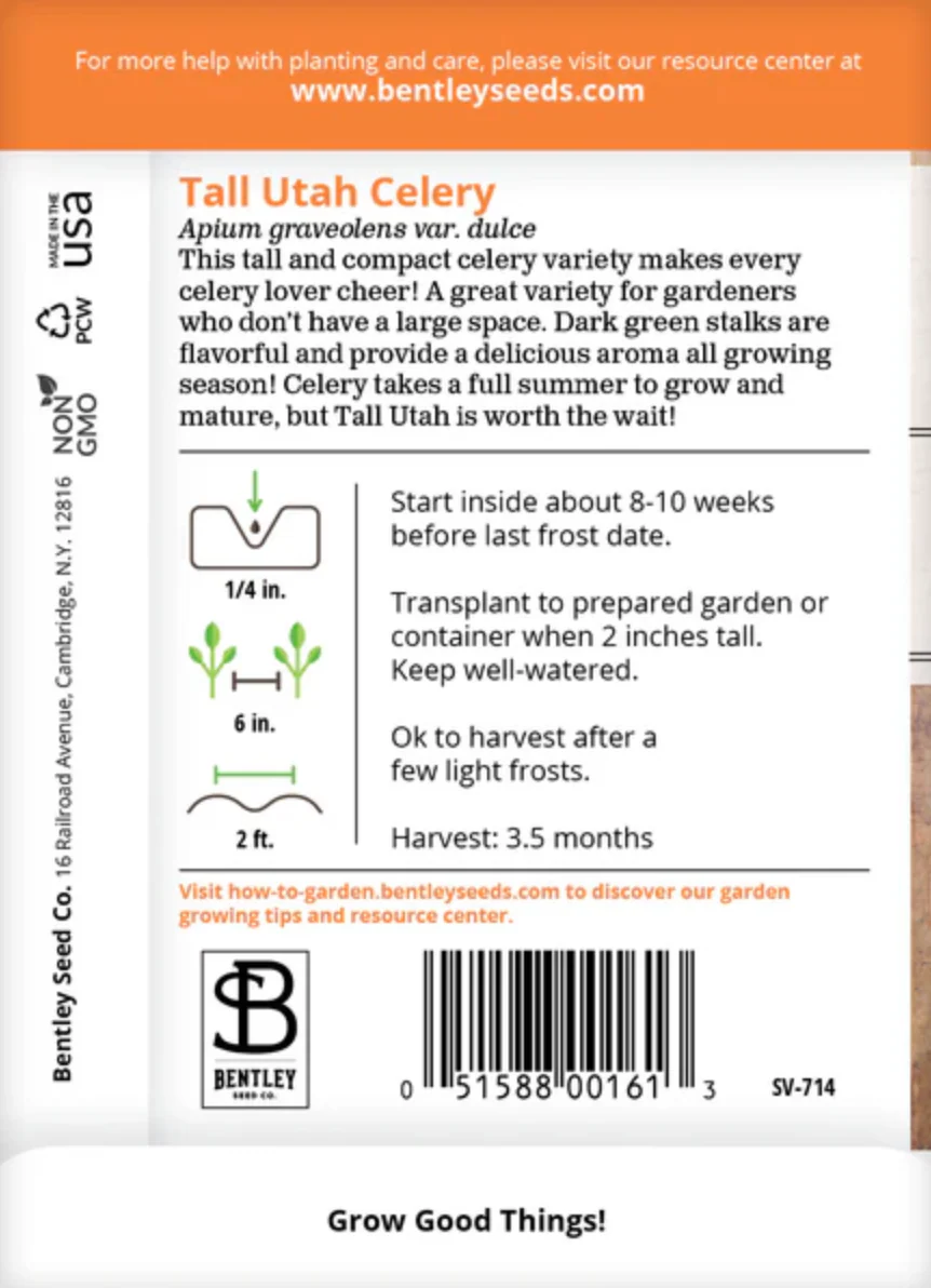 Celery 'Tall Utah' - Vegetable Seeds - Image 2