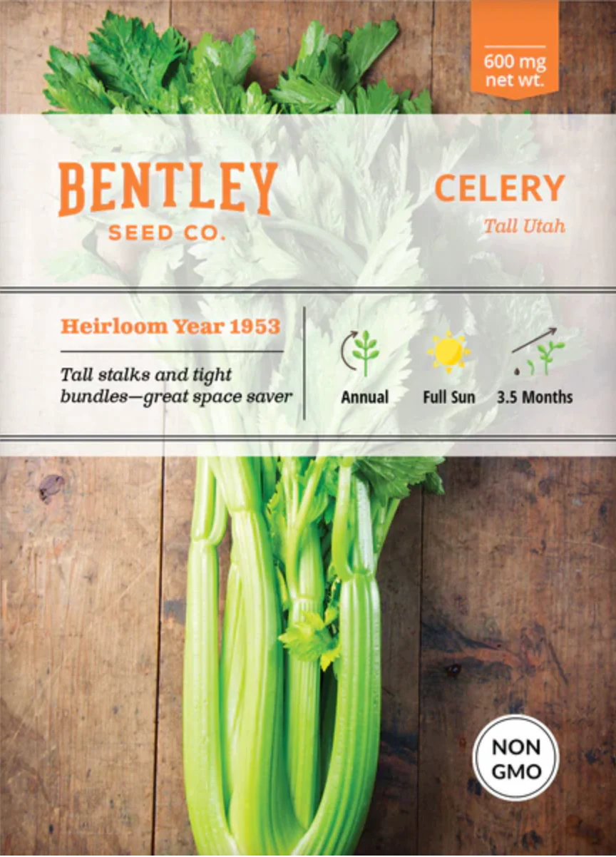 Celery 'Tall Utah' - Vegetable Seeds - Image 3